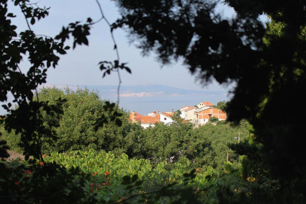 Apartments And Rooms With Parking Space Klenovica, Novi Vinodolski - 5590 Zewnętrze zdjęcie